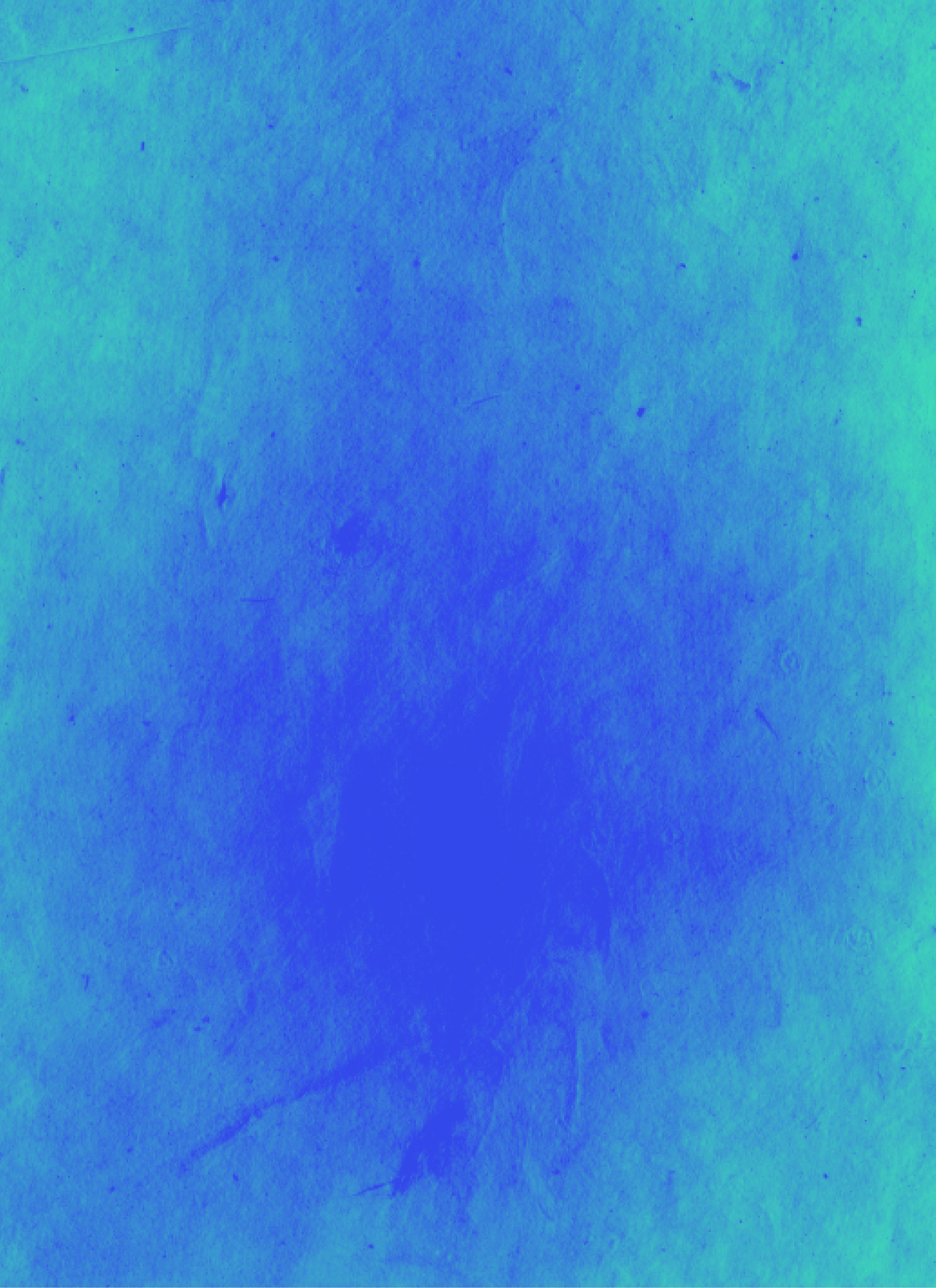 Fond Ecran Site Festiprev